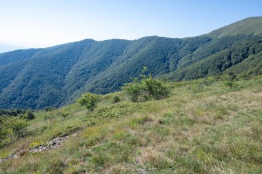 Bulgaristan 'ın Blagoevgrad bölgesinin Kongur tepesi çevresindeki Belasitsa Dağı yaz manzarası