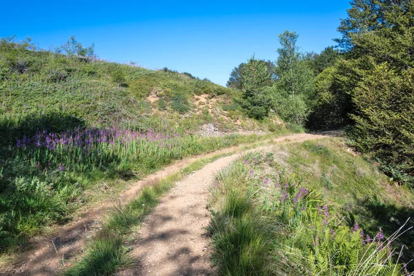 Bulgaristan 'ın Blagoevgrad bölgesinin Kongur tepesi çevresindeki Belasitsa Dağı yaz manzarası