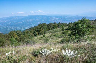 Bulgaristan 'ın Blagoevgrad bölgesinin Kongur tepesi çevresindeki Belasitsa Dağı yaz manzarası