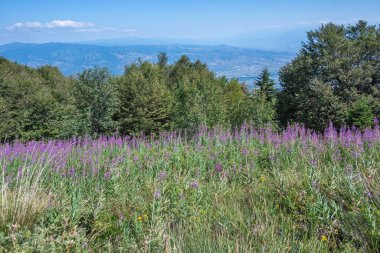 Bulgaristan 'ın Blagoevgrad bölgesinin Kongur tepesi çevresindeki Belasitsa Dağı yaz manzarası