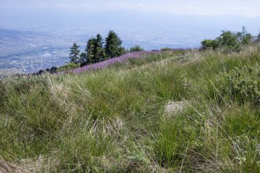 Bulgaristan 'ın Blagoevgrad bölgesinin Kongur tepesi çevresindeki Belasitsa Dağı yaz manzarası