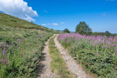 Bulgaristan 'ın Blagoevgrad bölgesinin Kongur tepesi çevresindeki Belasitsa Dağı yaz manzarası