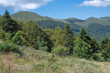 Bulgaristan 'ın Blagoevgrad bölgesinin Kongur tepesi çevresindeki Belasitsa Dağı yaz manzarası