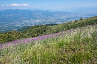 Bulgaristan 'ın Blagoevgrad bölgesinin Kongur tepesi çevresindeki Belasitsa Dağı yaz manzarası
