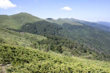 Bulgaristan 'ın Blagoevgrad bölgesinin Kongur tepesi çevresindeki Belasitsa Dağı yaz manzarası