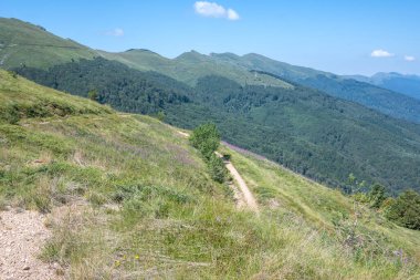 Bulgaristan 'ın Blagoevgrad bölgesinin Kongur tepesi çevresindeki Belasitsa Dağı yaz manzarası