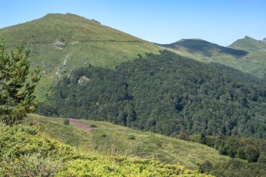 Bulgaristan 'ın Blagoevgrad bölgesinin Kongur tepesi çevresindeki Belasitsa Dağı yaz manzarası