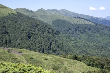 Bulgaristan 'ın Blagoevgrad bölgesinin Kongur tepesi çevresindeki Belasitsa Dağı yaz manzarası