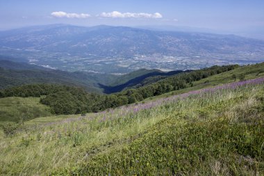 Bulgaristan 'ın Blagoevgrad bölgesinin Kongur tepesi çevresindeki Belasitsa Dağı yaz manzarası