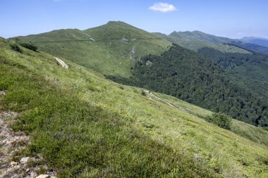 Bulgaristan 'ın Blagoevgrad bölgesinin Kongur tepesi çevresindeki Belasitsa Dağı yaz manzarası