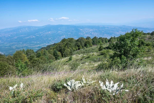Bulgaristan 'ın Blagoevgrad bölgesinin Kongur tepesi çevresindeki Belasitsa Dağı yaz manzarası