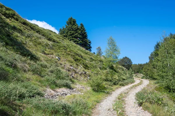 Bulgaristan 'ın Blagoevgrad bölgesinin Kongur tepesi çevresindeki Belasitsa Dağı yaz manzarası