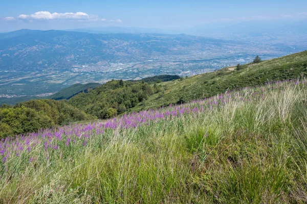 Bulgaristan 'ın Blagoevgrad bölgesinin Kongur tepesi çevresindeki Belasitsa Dağı yaz manzarası