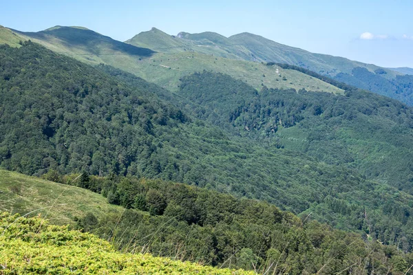 Bulgaristan 'ın Blagoevgrad bölgesinin Kongur tepesi çevresindeki Belasitsa Dağı yaz manzarası