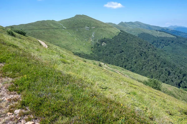 Bulgaristan 'ın Blagoevgrad bölgesinin Kongur tepesi çevresindeki Belasitsa Dağı yaz manzarası