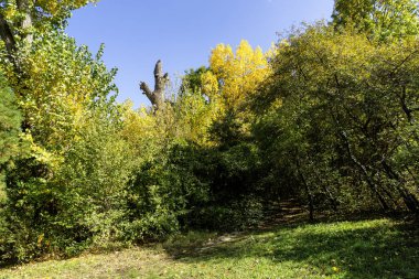 Bulgaristan 'ın Sofya kentindeki South Park' ın Muhteşem Sonbahar Manzarası