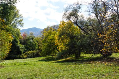 Bulgaristan 'ın Sofya kentindeki South Park' ın Muhteşem Sonbahar Manzarası