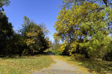 Bulgaristan 'ın Sofya kentindeki South Park' ın Muhteşem Sonbahar Manzarası