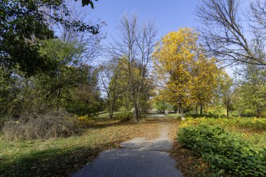 Bulgaristan 'ın Sofya kentindeki South Park' ın Muhteşem Sonbahar Manzarası