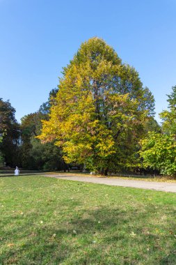 Bulgaristan 'ın Sofya kentindeki South Park' ın Muhteşem Sonbahar Manzarası