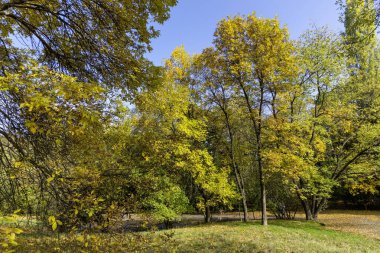 Bulgaristan 'ın Sofya kentindeki South Park' ın Muhteşem Sonbahar Manzarası