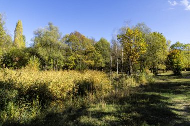 Bulgaristan 'ın Sofya kentindeki South Park' ın Muhteşem Sonbahar Manzarası