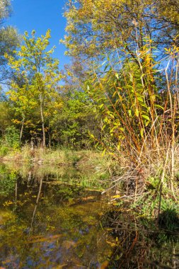 Bulgaristan 'ın Sofya kentindeki South Park' ın Muhteşem Sonbahar Manzarası