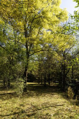 Bulgaristan 'ın Sofya kentindeki South Park' ın Muhteşem Sonbahar Manzarası