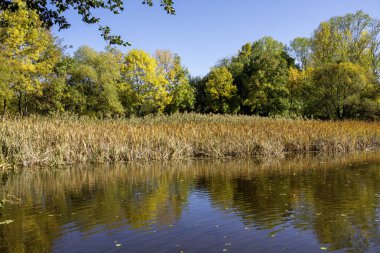 Bulgaristan 'ın Sofya kentindeki South Park' ın Muhteşem Sonbahar Manzarası