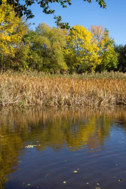 Bulgaristan 'ın Sofya kentindeki South Park' ın Muhteşem Sonbahar Manzarası