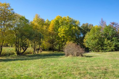 Bulgaristan 'ın Sofya kentindeki South Park' ın Muhteşem Sonbahar Manzarası