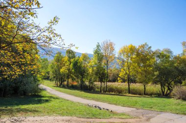 Bulgaristan 'ın Sofya kentindeki South Park' ın Muhteşem Sonbahar Manzarası