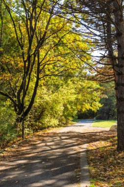 Bulgaristan 'ın Sofya kentindeki South Park' ın Muhteşem Sonbahar Manzarası