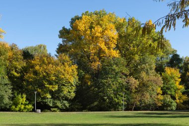 Bulgaristan 'ın Sofya kentindeki South Park' ın Muhteşem Sonbahar Manzarası