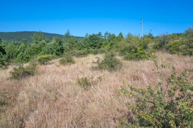Rudina Dağı, Pernik Bölgesi, Bulgaristan 'ın İnanılmaz Yaz Manzarası