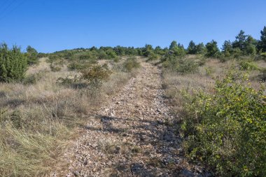 Rudina Dağı, Pernik Bölgesi, Bulgaristan 'ın İnanılmaz Yaz Manzarası