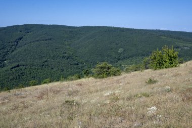 Rudina Dağı, Pernik Bölgesi, Bulgaristan 'ın İnanılmaz Yaz Manzarası