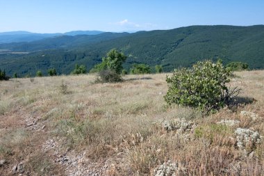 Rudina Dağı, Pernik Bölgesi, Bulgaristan 'ın İnanılmaz Yaz Manzarası