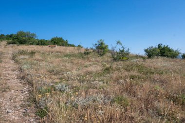 Rudina Dağı, Pernik Bölgesi, Bulgaristan 'ın İnanılmaz Yaz Manzarası