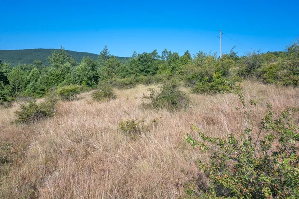 Rudina Dağı, Pernik Bölgesi, Bulgaristan 'ın İnanılmaz Yaz Manzarası