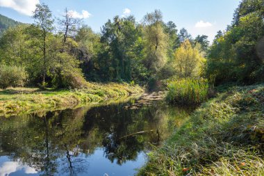 Bulgaristan 'ın Sofya kentinin Pancharevo Gölü yakınlarından geçen Iskar Nehri' nin Sonbahar Manzarası