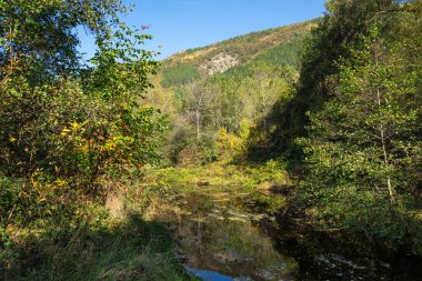 Bulgaristan 'ın Sofya kentinin Pancharevo Gölü yakınlarından geçen Iskar Nehri' nin Sonbahar Manzarası