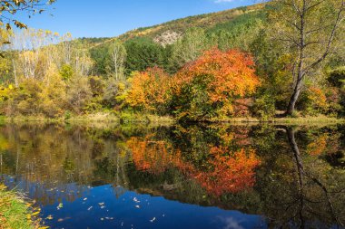 Bulgaristan 'ın Sofya kentinin Pancharevo Gölü yakınlarından geçen Iskar Nehri' nin Sonbahar Manzarası