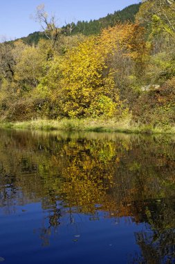 Bulgaristan 'ın Sofya kentinin Pancharevo Gölü yakınlarından geçen Iskar Nehri' nin Sonbahar Manzarası