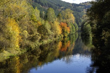 Bulgaristan 'ın Sofya kentinin Pancharevo Gölü yakınlarından geçen Iskar Nehri' nin Sonbahar Manzarası