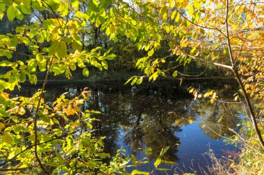 Bulgaristan 'ın Sofya kentinin Pancharevo Gölü yakınlarından geçen Iskar Nehri' nin Sonbahar Manzarası