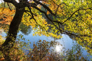 Bulgaristan 'ın Sofya kentinin Pancharevo Gölü yakınlarından geçen Iskar Nehri' nin Sonbahar Manzarası