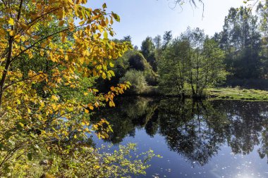 Bulgaristan 'ın Sofya kentinin Pancharevo Gölü yakınlarından geçen Iskar Nehri' nin Sonbahar Manzarası