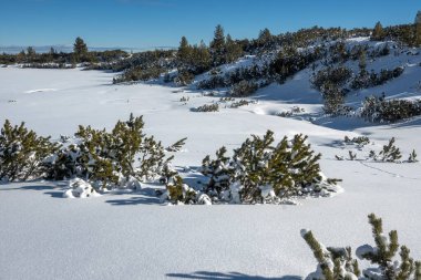 Bulgaristan 'ın Bezbog Tepesi yakınlarındaki Pirin Dağı' nın şaşırtıcı kış manzarası