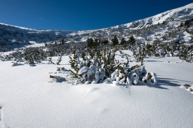 Bulgaristan 'ın Bezbog Tepesi yakınlarındaki Pirin Dağı' nın şaşırtıcı kış manzarası